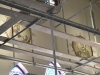 dscn4335
